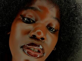 live cam girl picture HollyBeatrix